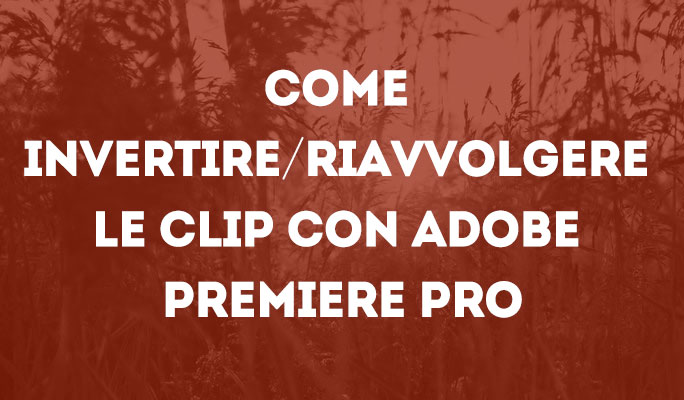 Come invertire/riavvolgere le clip con Adobe Premiere Pro