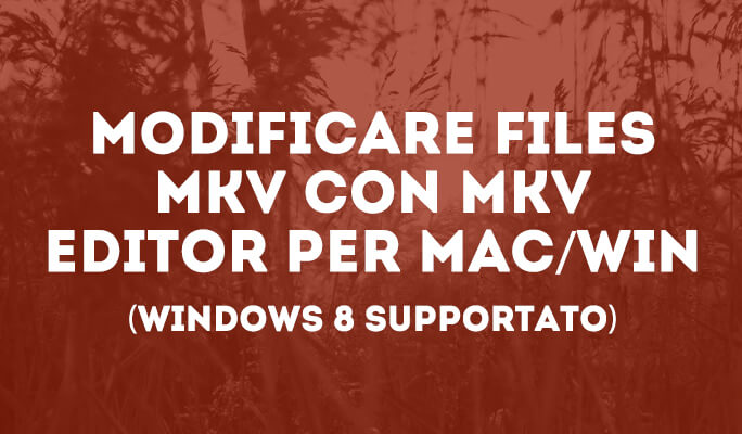 Come Modificare Film MKV su Mac/Win